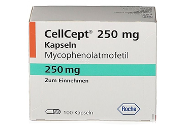 CELLCEPT ROCHE 250 MG 100 KAPSUL